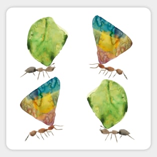 Ants Sticker